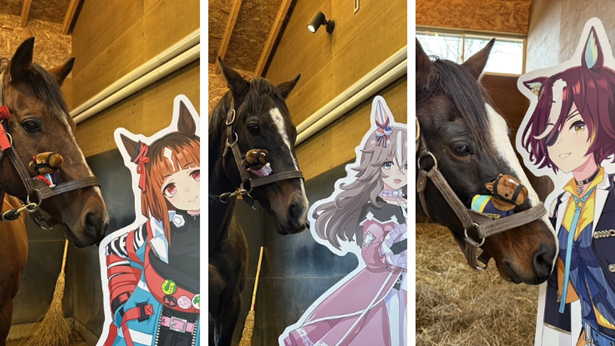 クラウドファンディング限定「ちぃぐるみ」のサンプルが届きました！