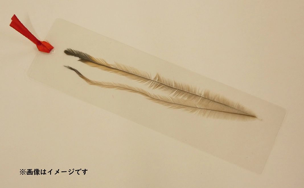 縁結びのお守りにも♡エミューの羽