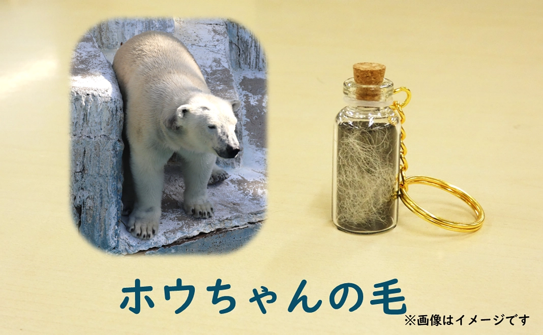 ホッキョクグマの毛