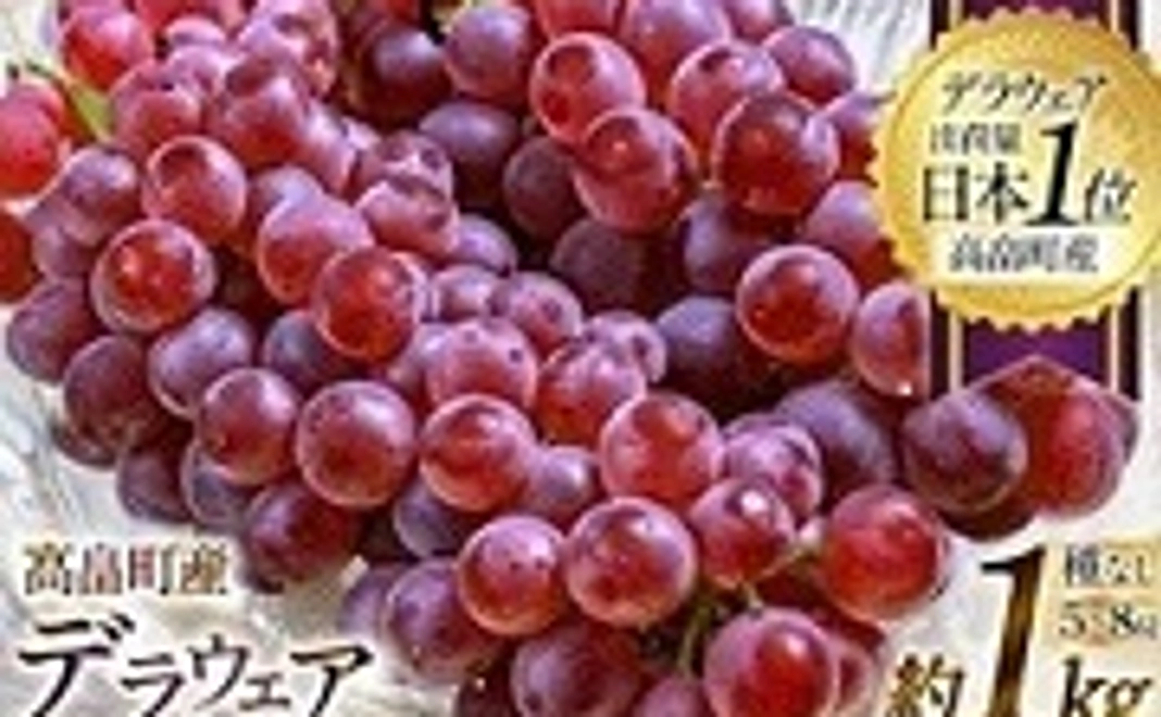 【高畠町外の方向け】【期間限定発送】日本一の産地！高畠町が誇るぶどう デラウェア 約1kg
