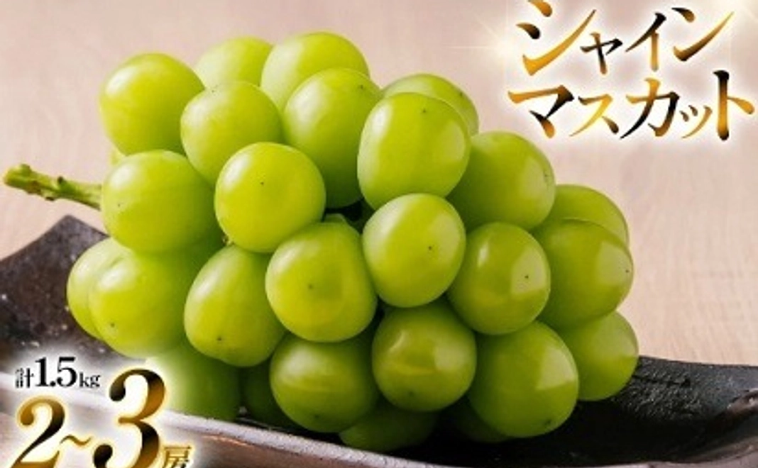 【高畠町外の方向け】【期間限定発送】種なしで皮まで食べられる人気ぶどう！シャインマスカット 約1.5kg