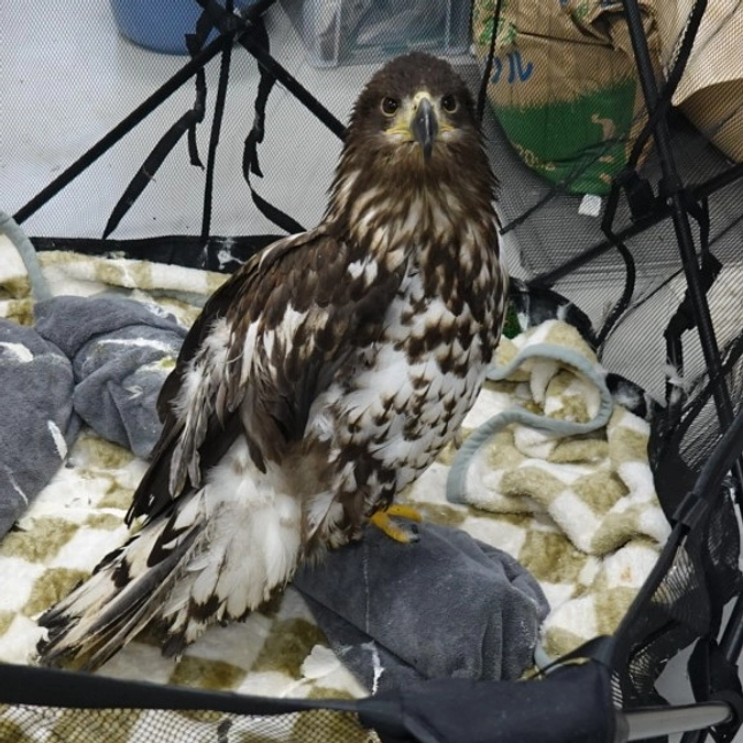 ちとせちゃん、少し大人っぽくなりました！