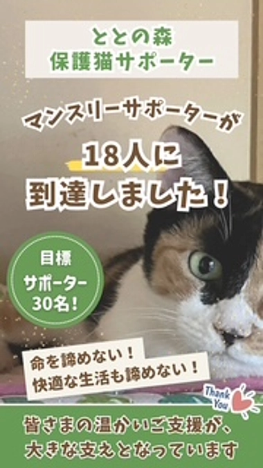 保護猫サポーター　18人になりました（マンスリー会員）