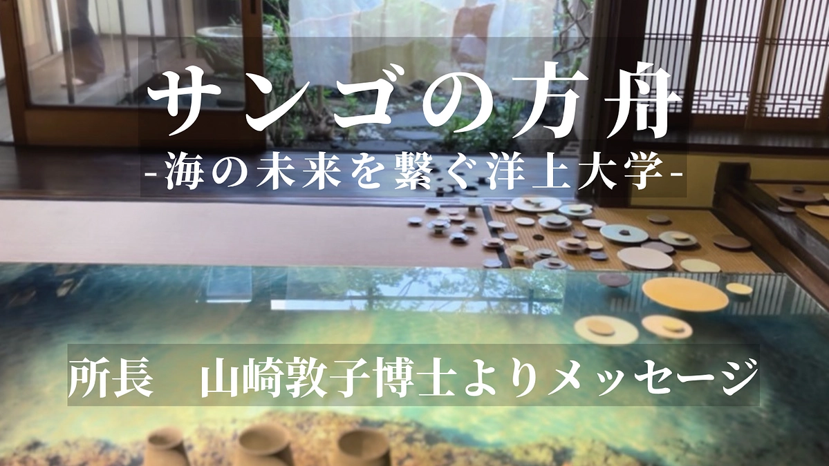 所長 山崎敦子 博士が「サンゴの方舟」プロジェクトで実現したいことを語る動画を公開しました！