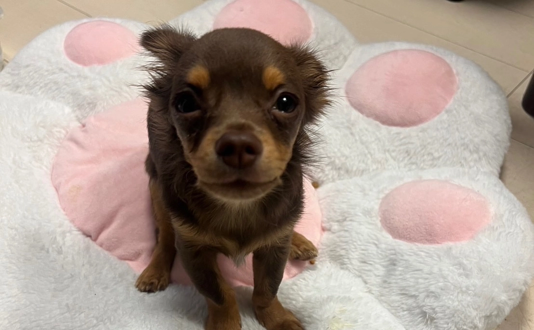 活動報告でのお礼