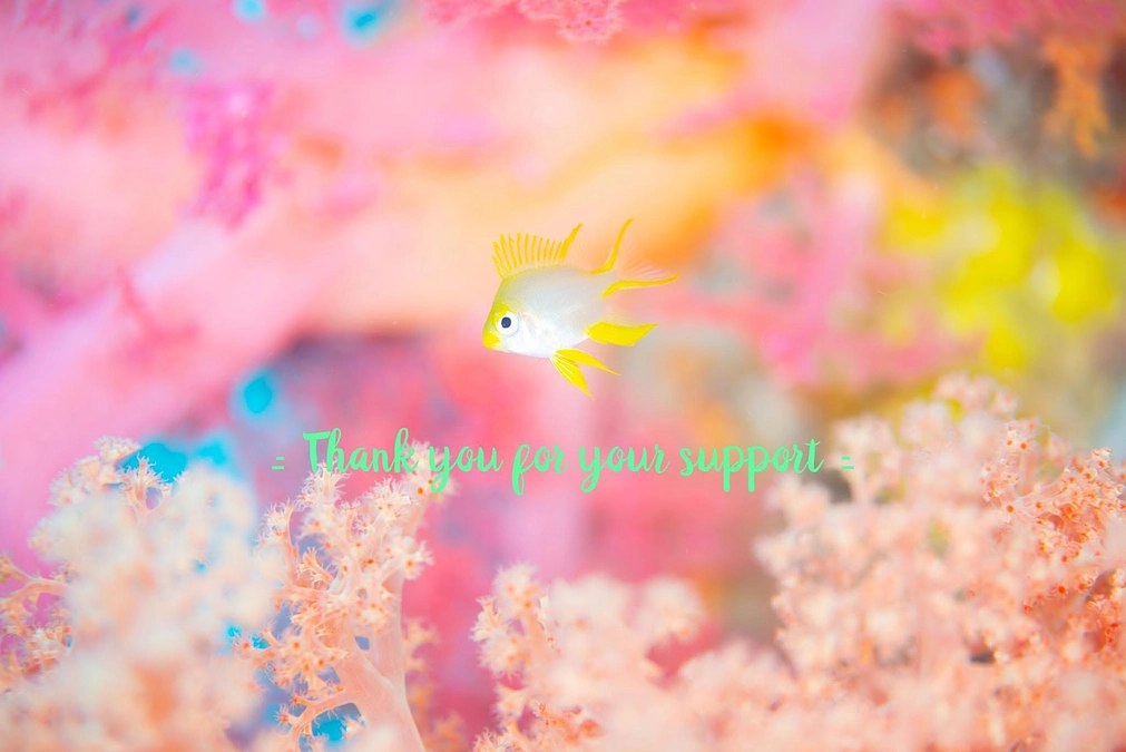 ご支援者様一覧⭐️