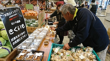 飽きの来ない菊芋メニューづくりを応援してください のトップ画像