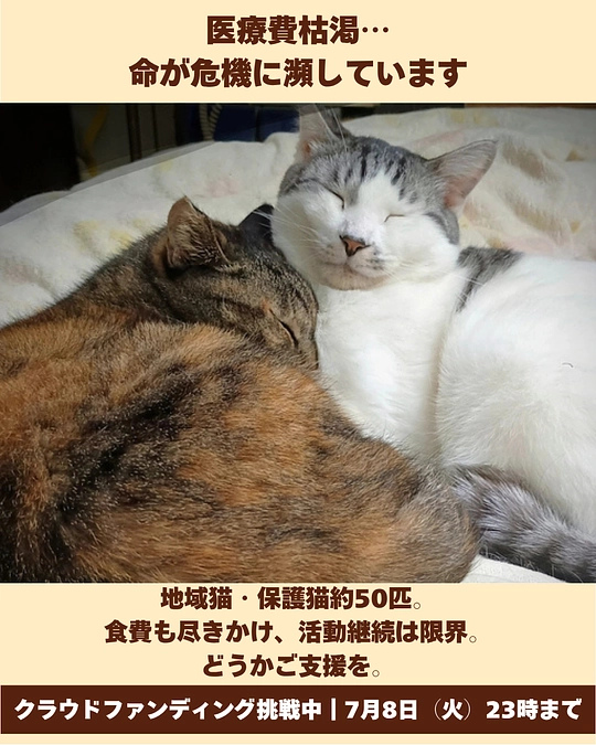 残り３時間となりました…。最後まで応援頂けますと助かります。