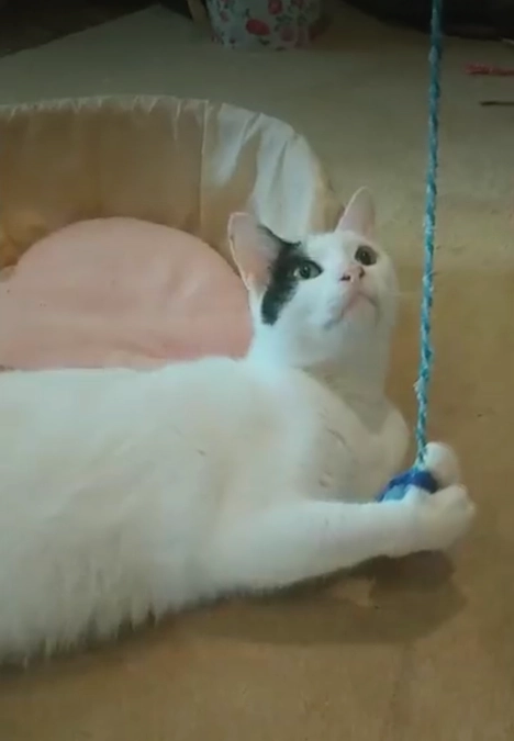 ネクストゴールまであと一歩