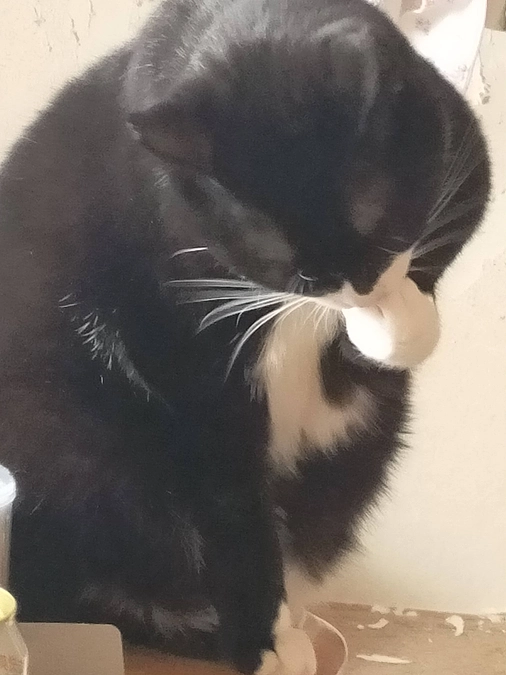 感激のネクストゴール達成！