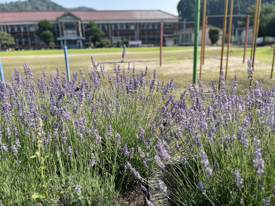 着々と準備の準備に入っています