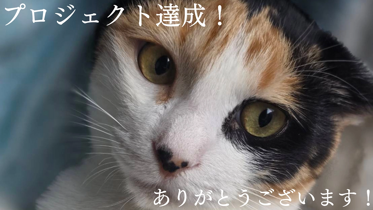 プロジェクト達成の御礼