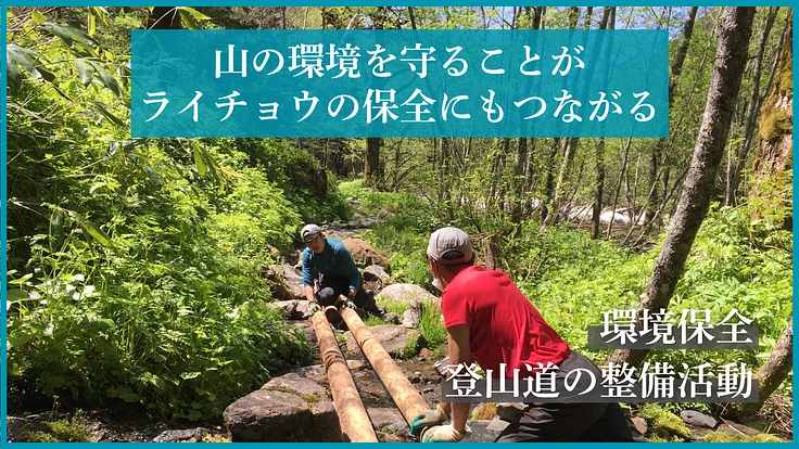 #みんなでつなぐライチョウの未来｜ミライチョウプロジェクト第二弾 4枚目