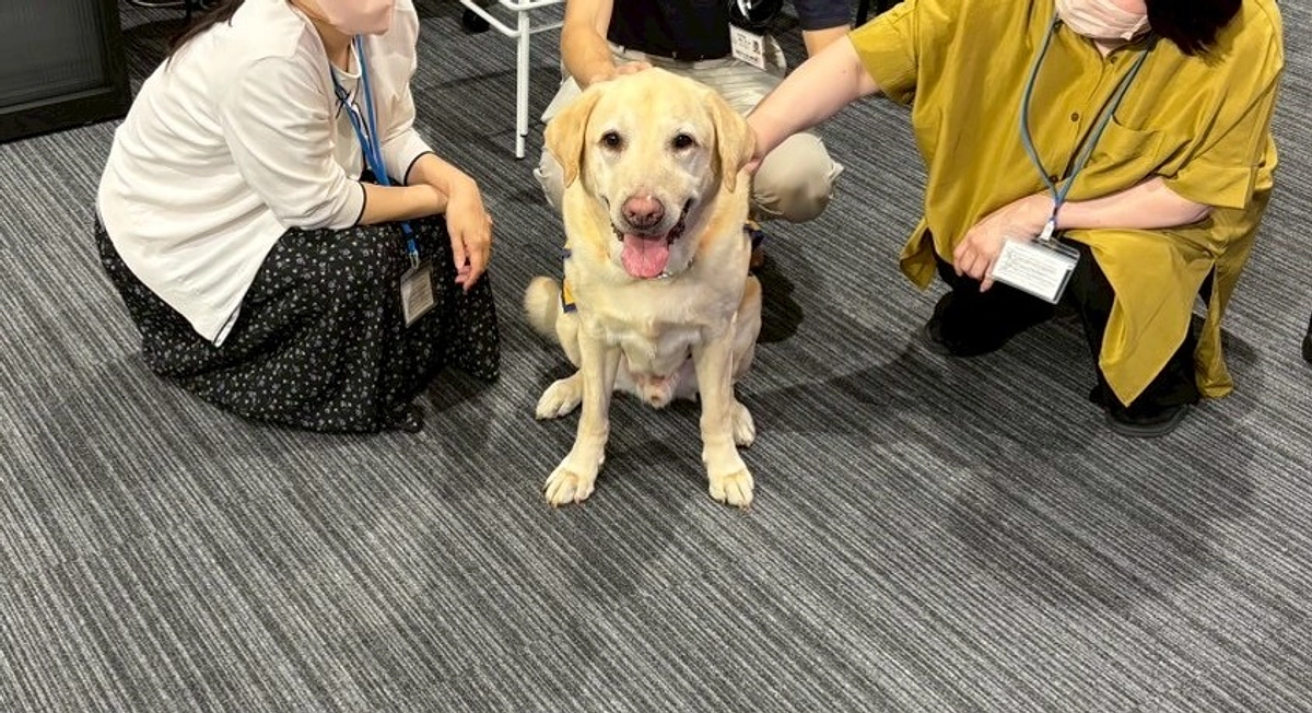 【企業ファシリティドッグ】ライオン事務器へ出勤!!