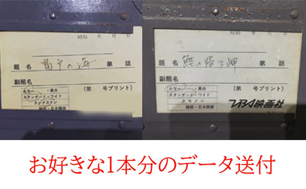 再生動画２本のうち、お好きな1本分データ（オンライン送付）