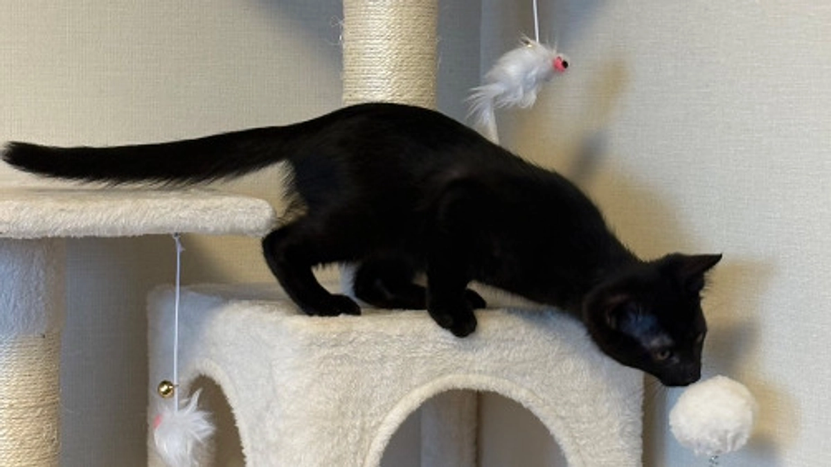 令和7年7月の中間報告！