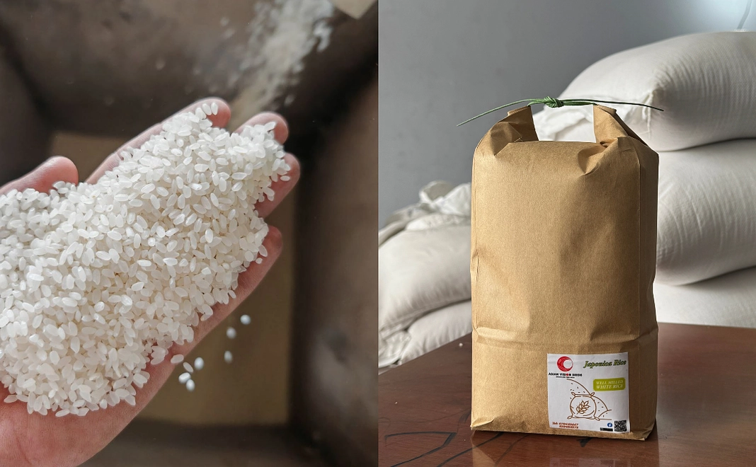 "祭" 日本米(カンボジア産)5kg + オンライン報告会へご招待