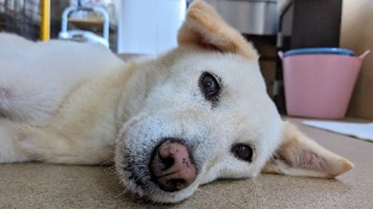 2025年5月・6月の収支報告と近況報告