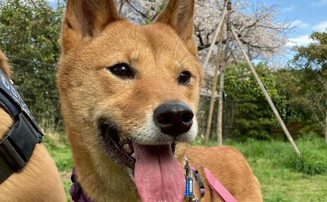 応援コース☆3千円