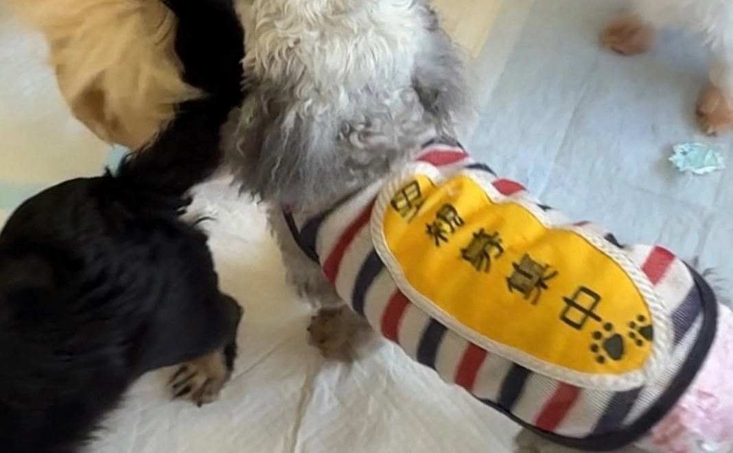 全力応援コース⭐︎1万円