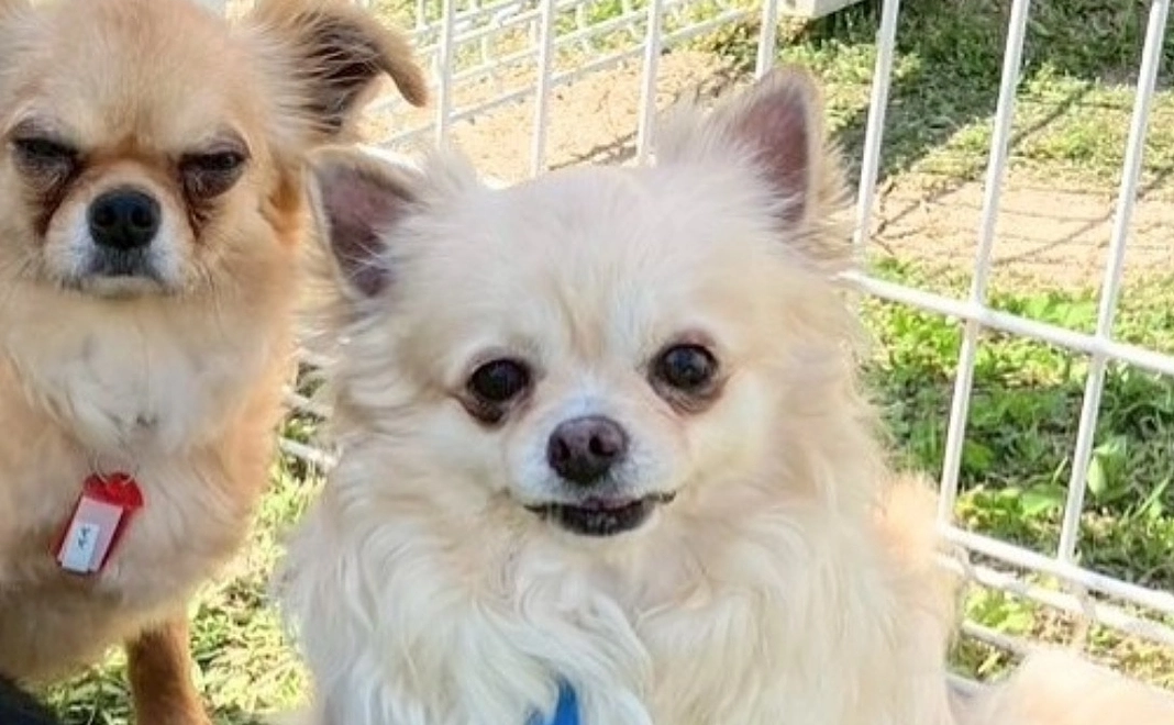 全力応援コース⭐︎3万円