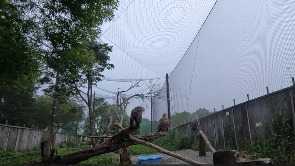 飼育環境の改善を進めています！