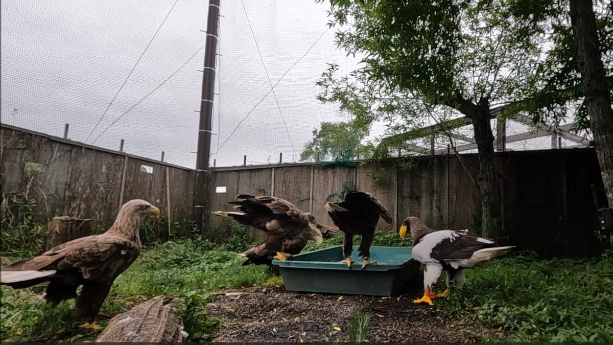 あっという間に争奪戦！