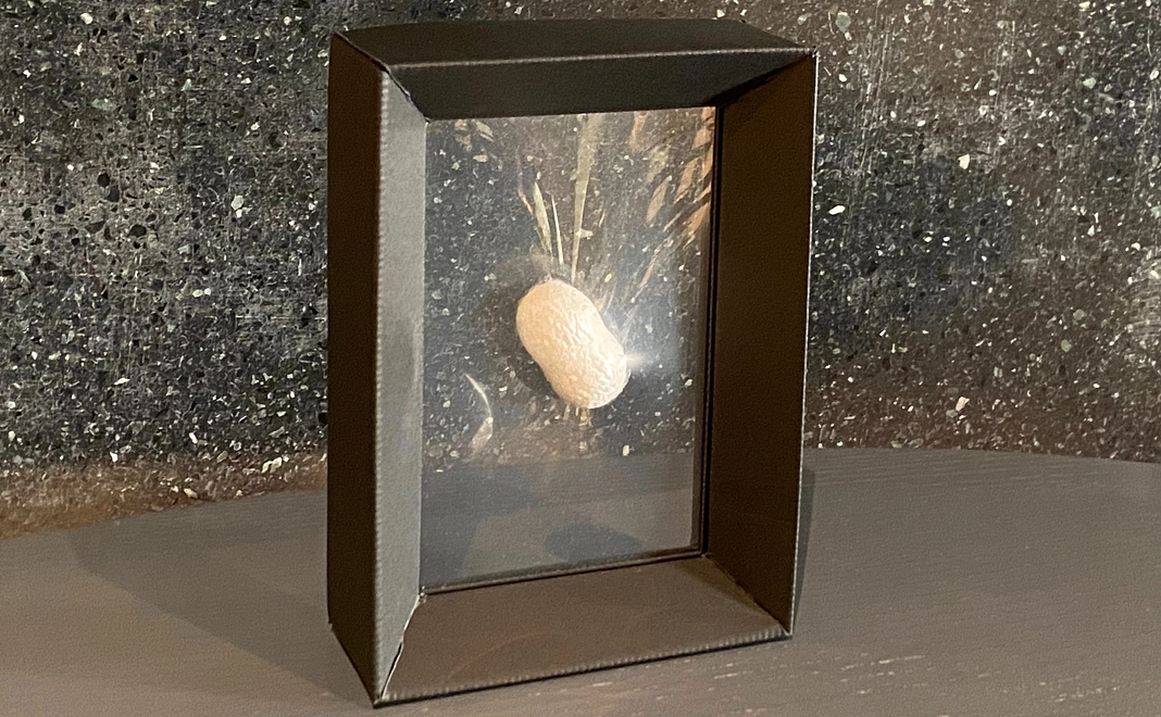 宙に浮くセヴェンヌの繭 ”Madame soie Cevennes” ロゴ入り(企業・団体で応援!)