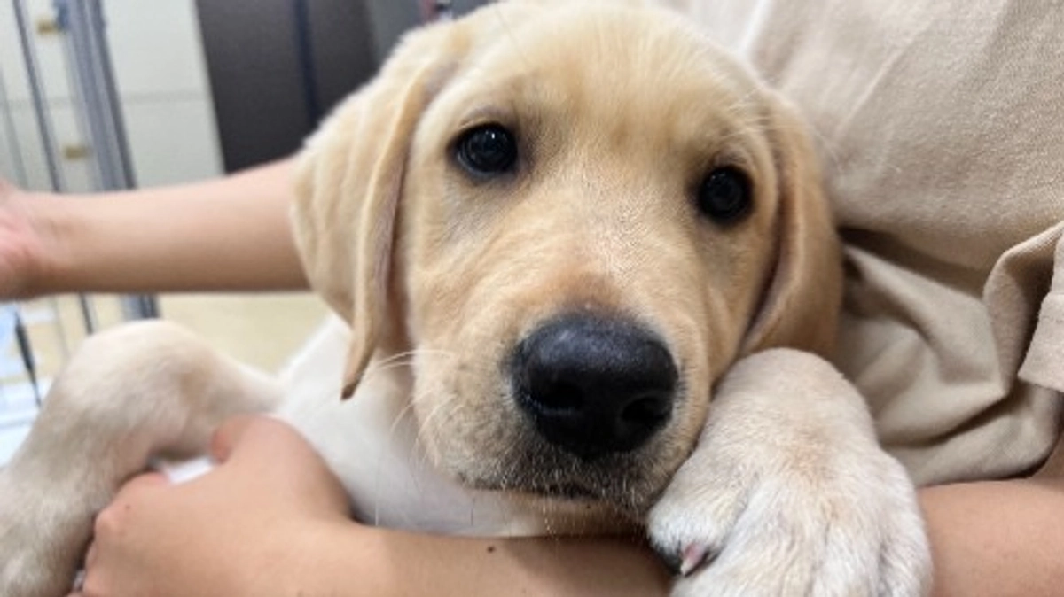 仲間が増えました！