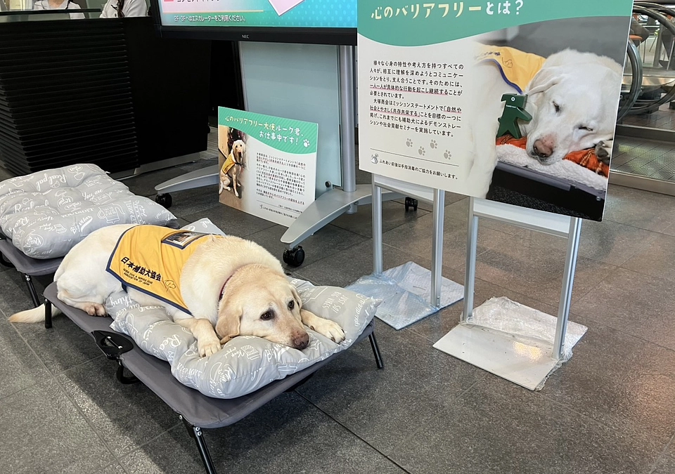 【企業ファシリティドッグ】大塚商会へ出勤！