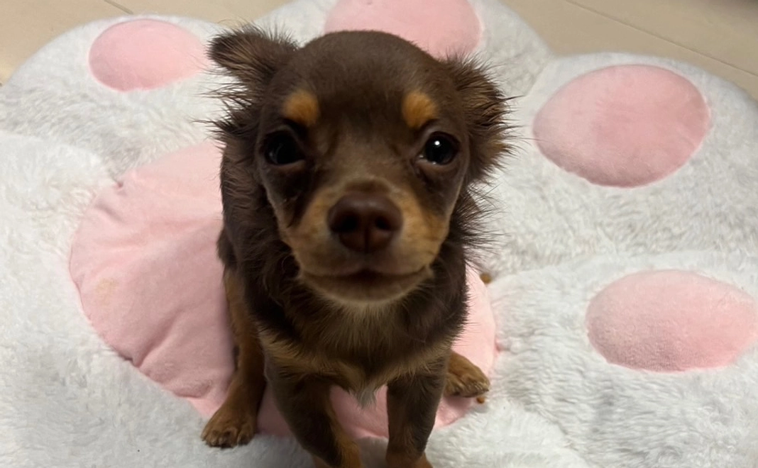 活動報告でのお礼8