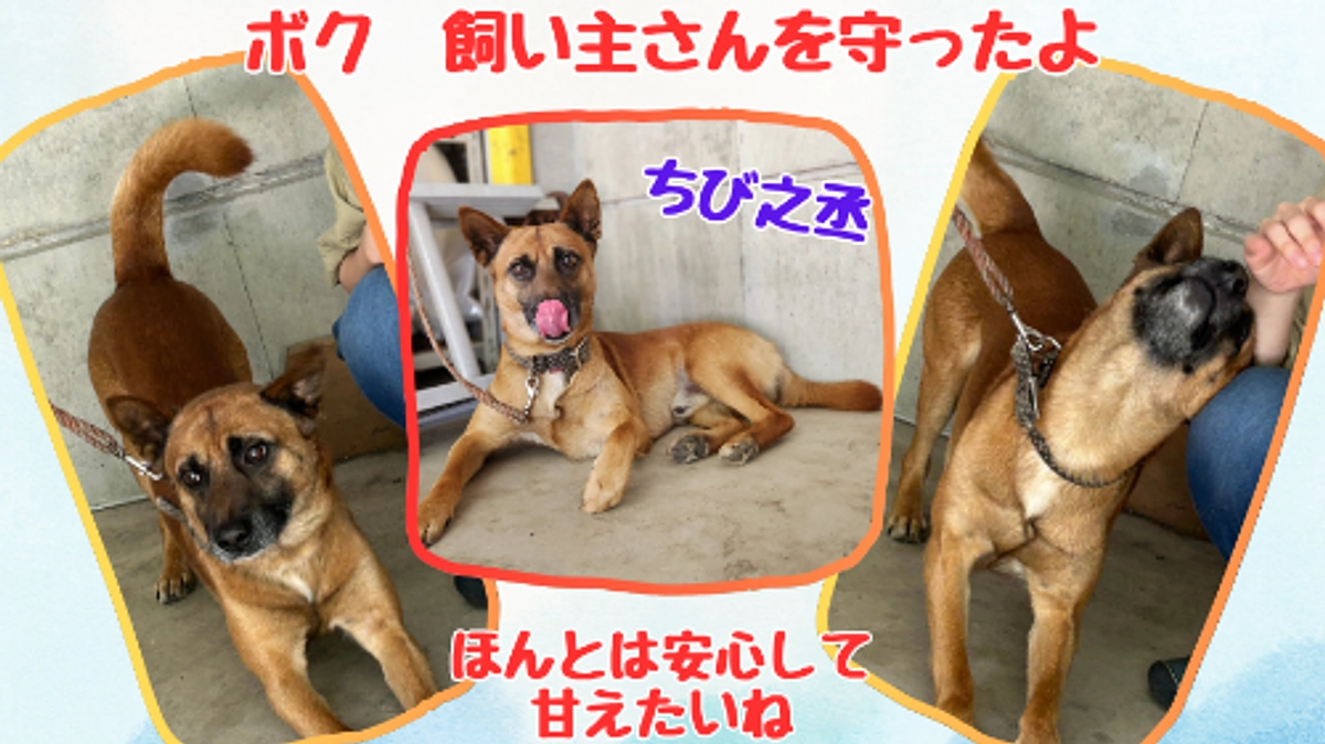 ７月もなんとか終わりました！