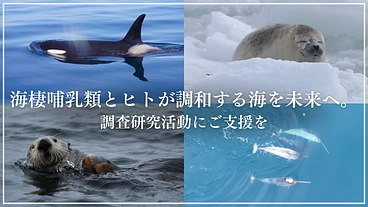海が変わっていく。海獣とヒトが共に生きるため、いま、調査が必要です のトップ画像