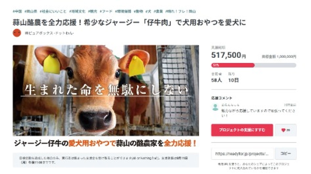 活動報告㉓｜達成率50％🎉皆様、応援ありがとうございます！【残り10日】