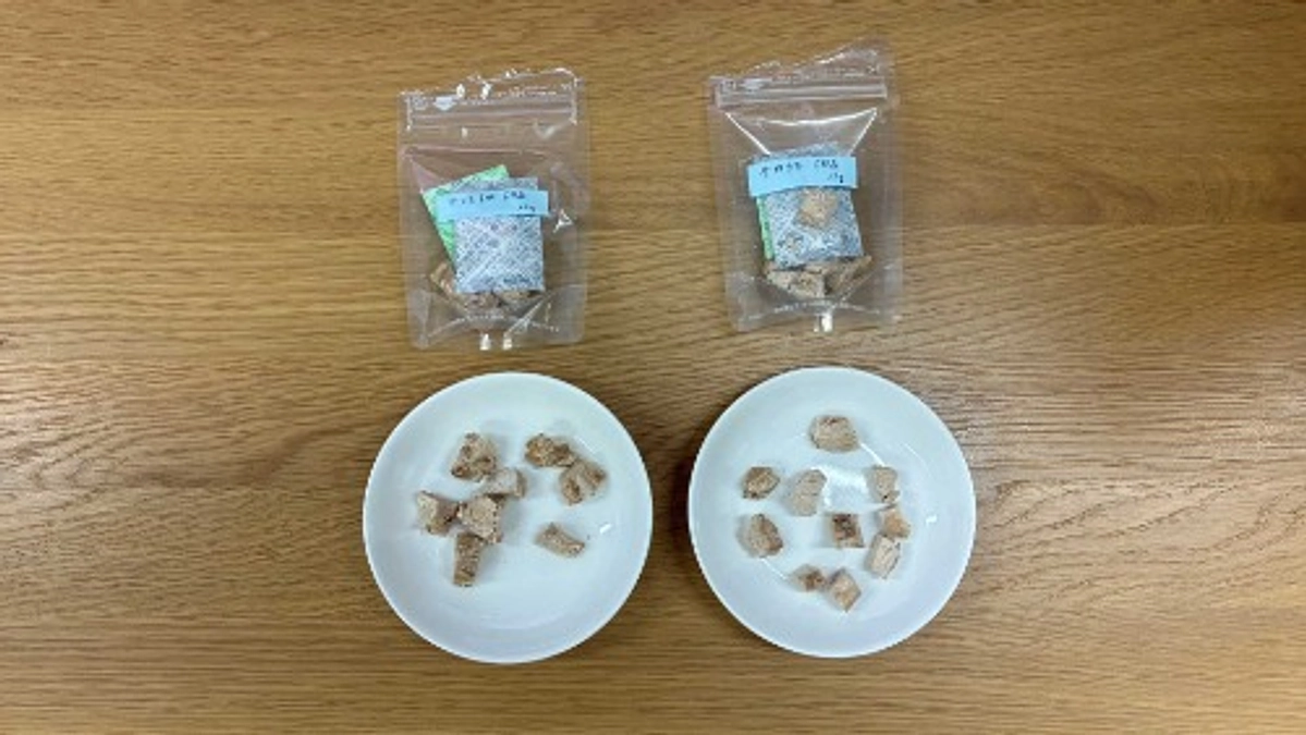 活動報告㉕｜美味しい！けど硬い？フリーズドライ試作第１号到着【残り9日】