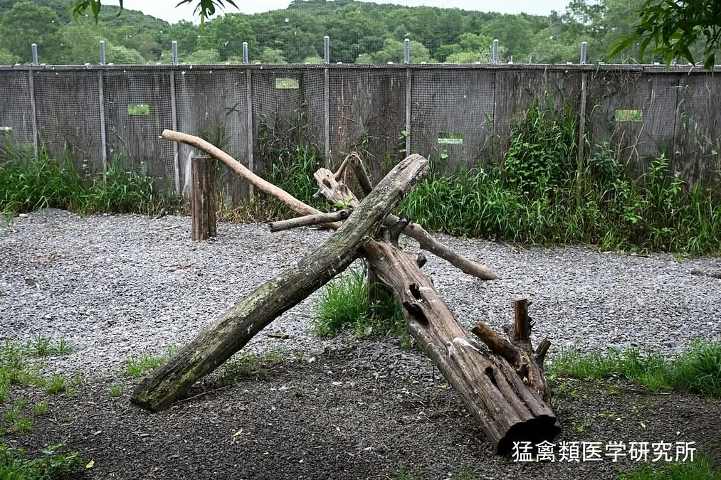 飼育環境の改善が進んでいます