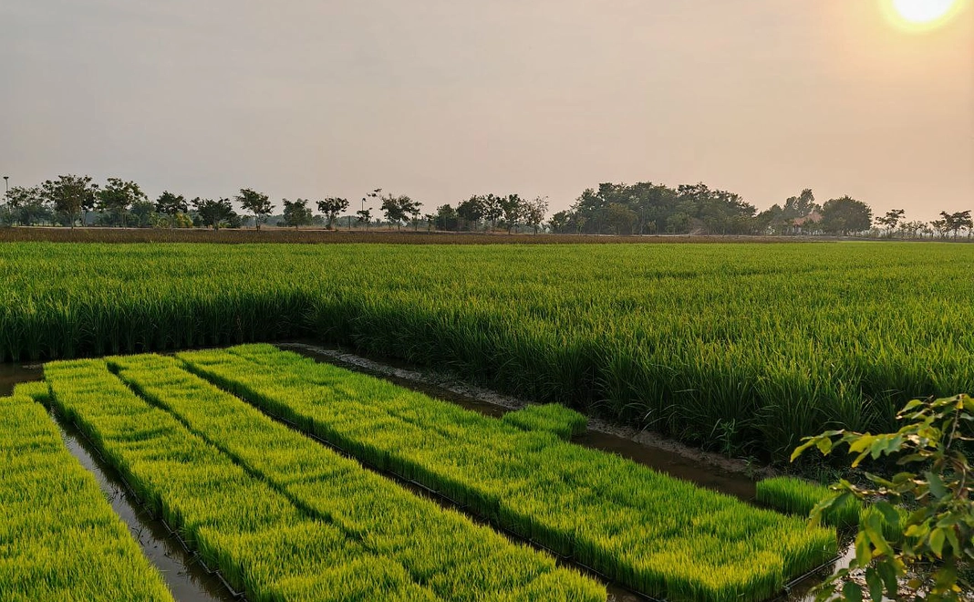 3,000円 応援コース!