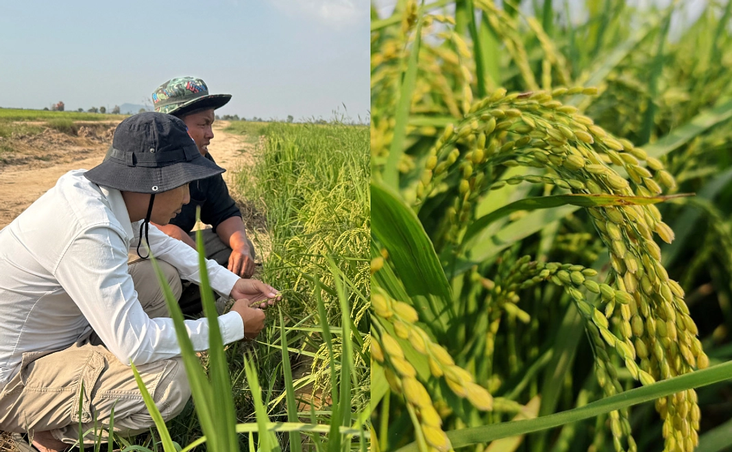 ラタさんと会おう コース