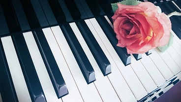 母子家庭、低収入。音大に通う息子を継続して通わせてあげたい！ のトップ画像