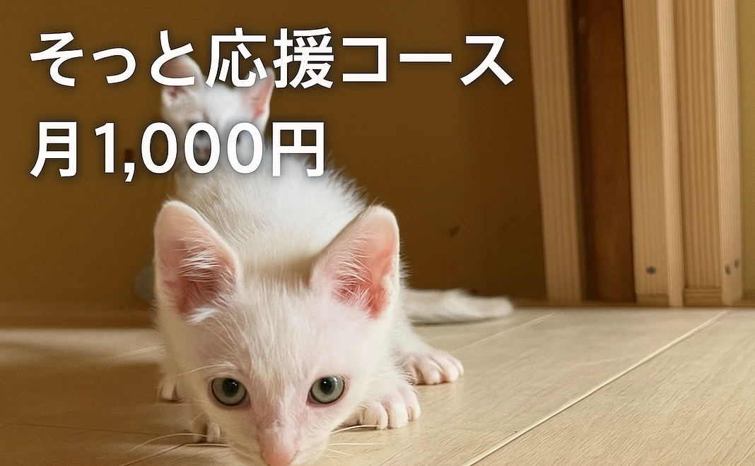 出来る事から支援1000円コース