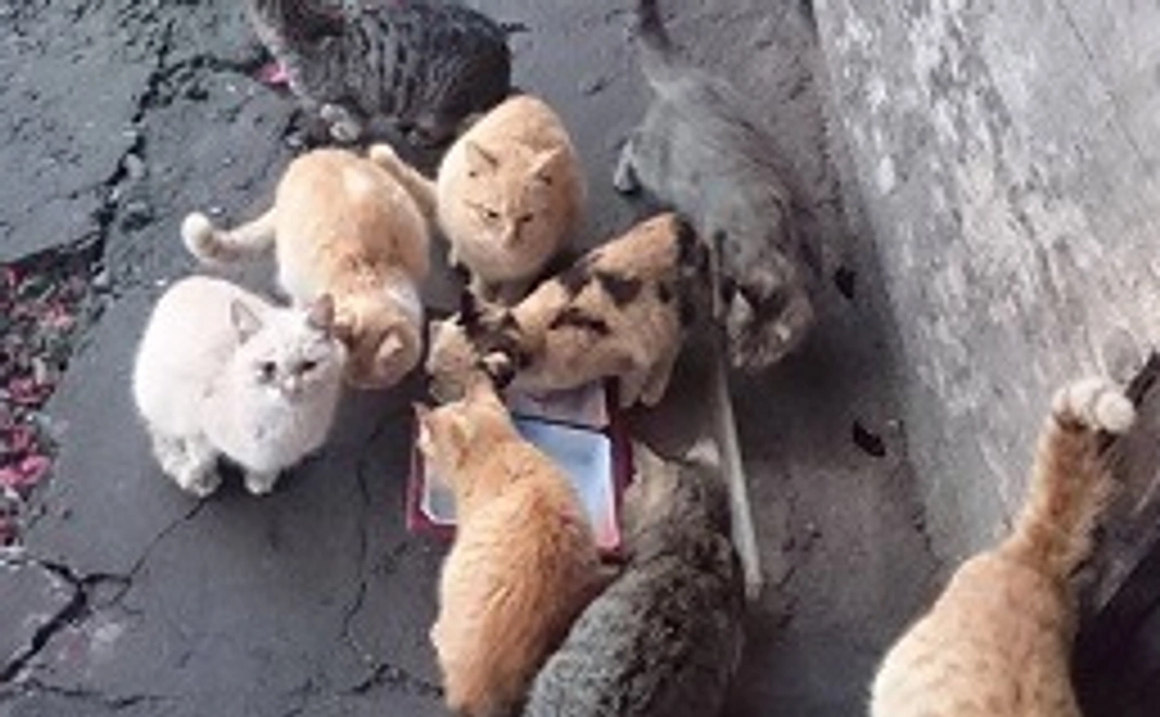 3,000円支援コース