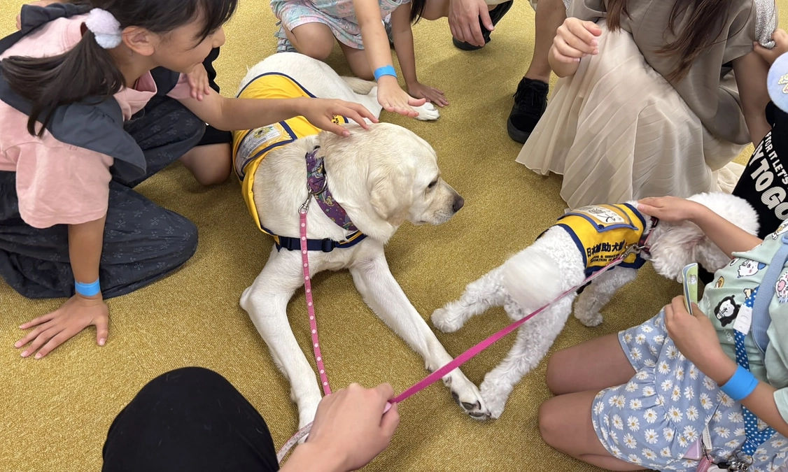 関西支部からの活動報告：マルホ株式会社