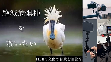 HEIPI製品の普及と共に絶滅危惧種愛護活動の意識を広めたい のトップ画像