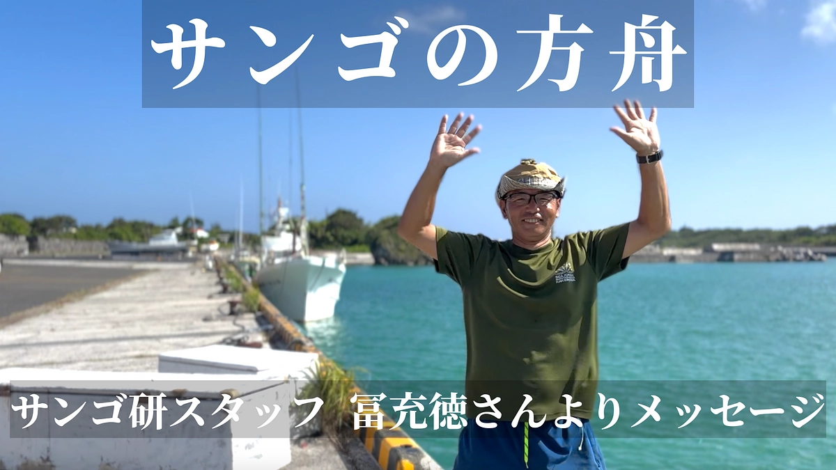 サンゴ研スタッフ　冨充徳さんよりメッセージ