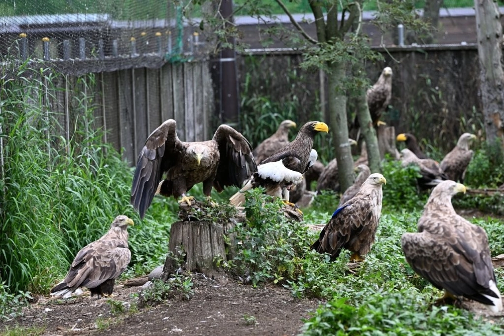 より良い生活と、更なる活躍を目指しています！