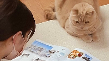 猫ファーストな猫カフェの経営維持にご支援を ! (第２弾) のトップ画像