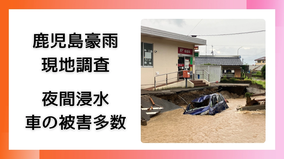 《鹿児島豪雨現地調査 ― 夜間浸水で車の被害多数》