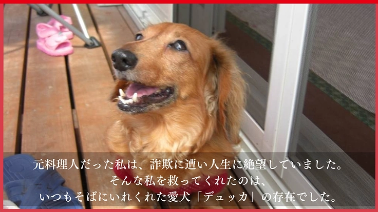高齢犬も高齢者も排除せず、人と犬が共に幸せに生きられる未来をつくる 2枚目