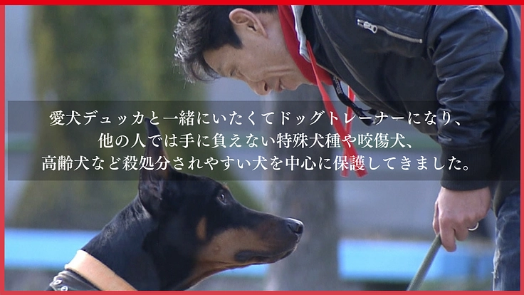 高齢犬も高齢者も排除せず、人と犬が共に幸せに生きられる未来をつくる 3枚目