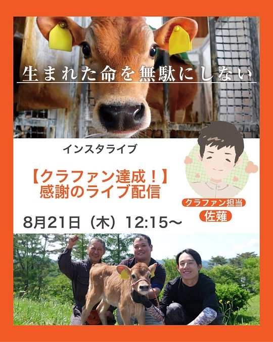 活動報告㊱｜【8月21日(木) 12:15～】クラファン達成！感謝のインスタライブのお知らせ